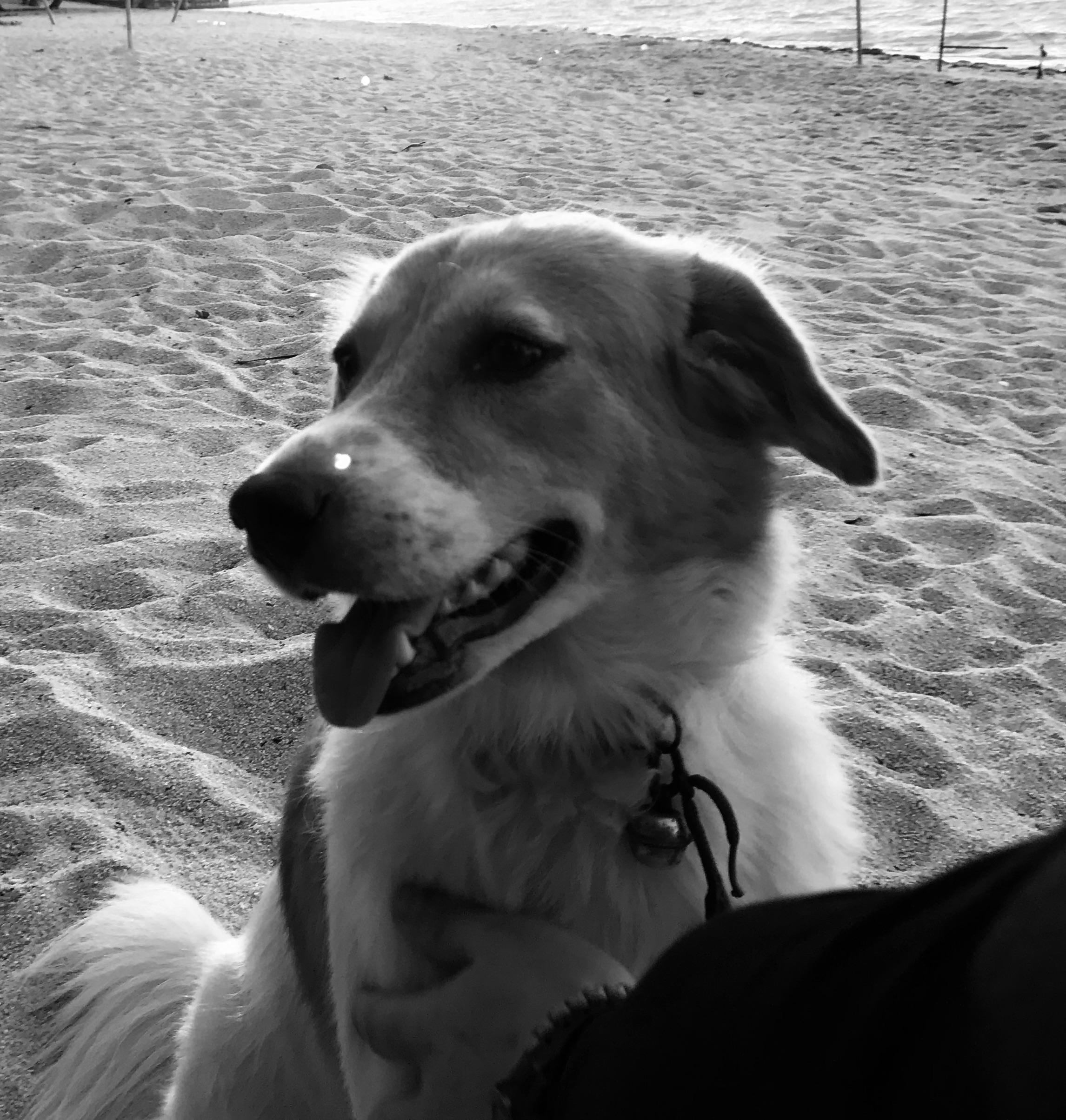 Stian – Kontorsjef